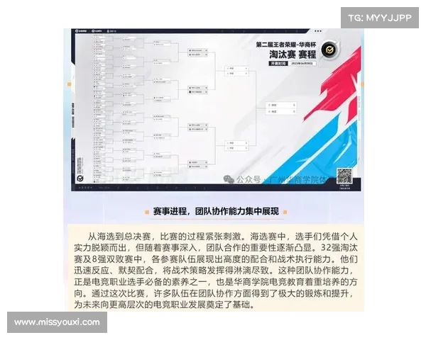 比赛进程图解析与数据展示助力赛事策略决策和团队协作优化